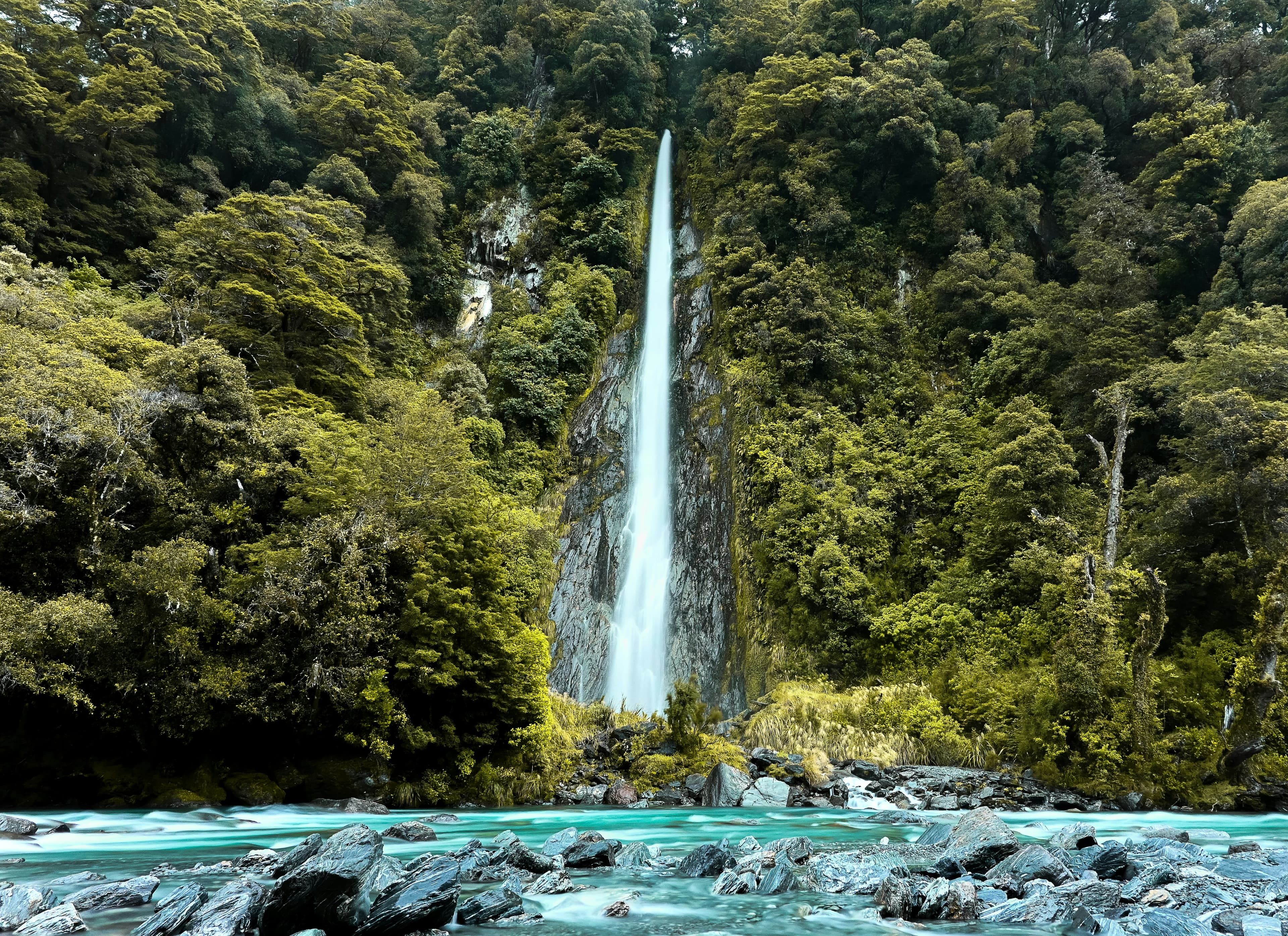 Nature-based retreat environment in New Zealand
